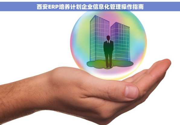 西安ERP培养计划企业信息化管理操作指南