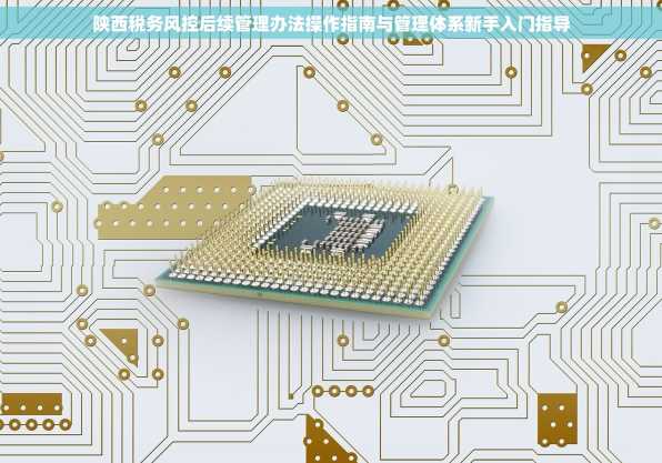 陕西税务风控后续管理办法操作指南与管理体系新手入门指导