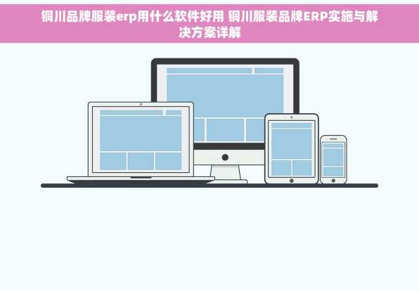 铜川品牌服装erp用什么软件好用 铜川服装品牌ERP实施与解决方案详解