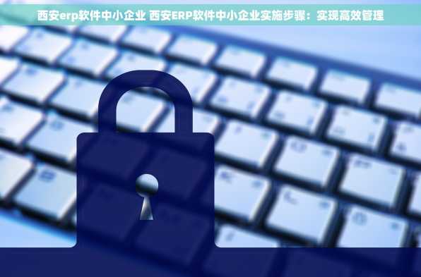西安erp软件中小企业 西安ERP软件中小企业实施步骤：实现高效管理