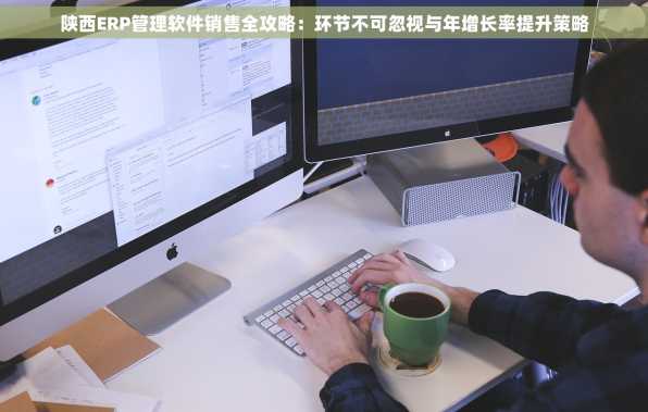 陕西ERP管理软件销售全攻略：环节不可忽视与年增长率提升策略