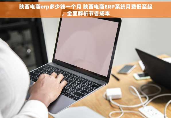 陕西电商erp多少钱一个月 陕西电商ERP系统月费低至起，全面解析节省成本
