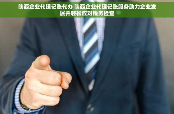 陕西企业代理记账代办 陕西企业代理记账服务助力企业发展并轻松应对税务检查