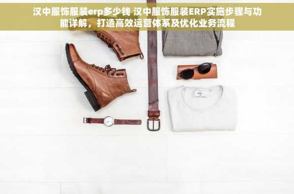 汉中服饰服装erp多少钱 汉中服饰服装ERP实施步骤与功能详解，打造高效运营体系及优化业务流程
