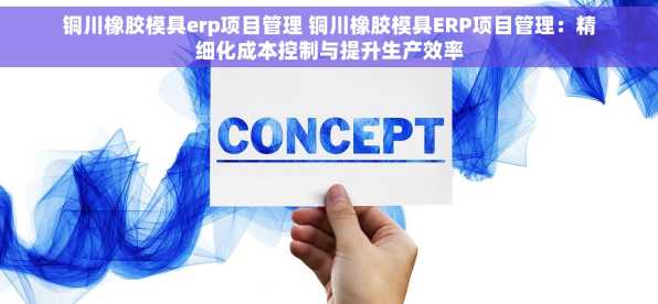 铜川橡胶模具erp项目管理 铜川橡胶模具ERP项目管理：精细化成本控制与提升生产效率