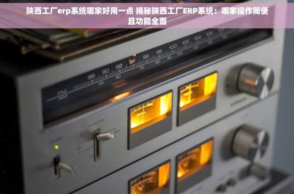 陕西工厂erp系统哪家好用一点 揭秘陕西工厂ERP系统：哪家操作简便且功能全面