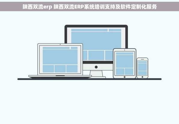 陕西双流erp 陕西双流ERP系统培训支持及软件定制化服务