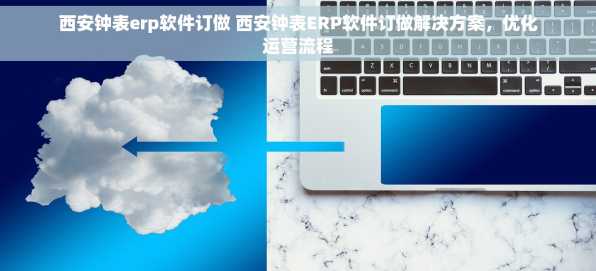 西安钟表erp软件订做 西安钟表ERP软件订做解决方案，优化运营流程