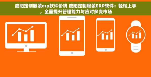 咸阳定制服装erp软件价钱 咸阳定制服装ERP软件：轻松上手，全面提升管理能力与应对多变市场