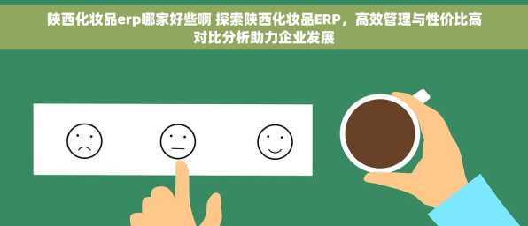 陕西化妆品erp哪家好些啊 探索陕西化妆品ERP，高效管理与性价比高对比分析助力企业发展