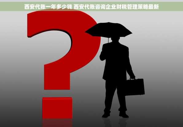 西安代账一年多少钱 西安代账咨询企业财税管理策略最新