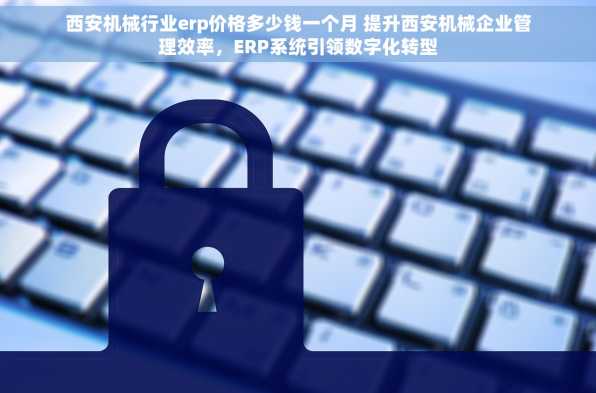 西安机械行业erp价格多少钱一个月 提升西安机械企业管理效率，ERP系统引领数字化转型