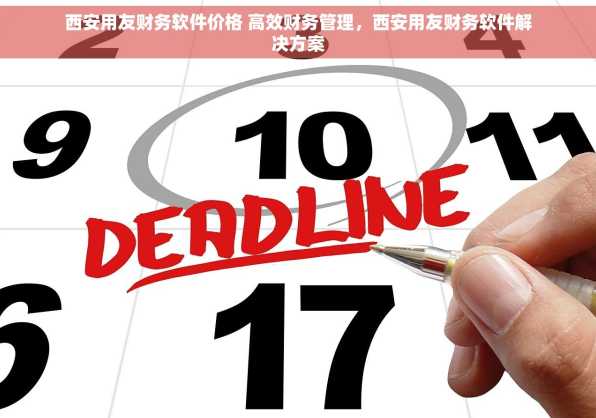 西安用友财务软件价格 高效财务管理，西安用友财务软件解决方案
