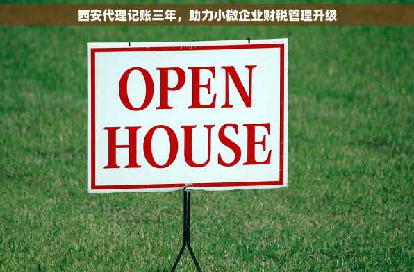 西安代理记账三年，助力小微企业财税管理升级