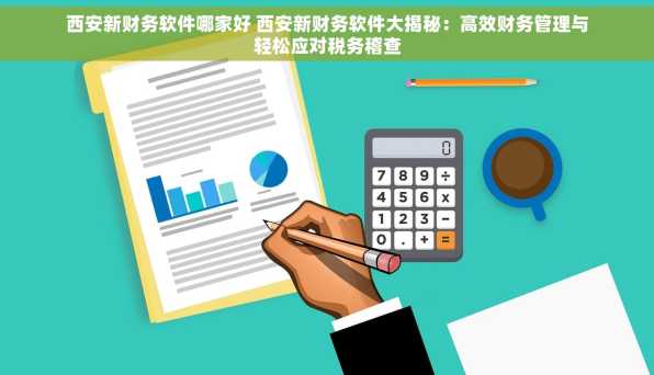 西安新财务软件哪家好 西安新财务软件大揭秘：高效财务管理与轻松应对税务稽查