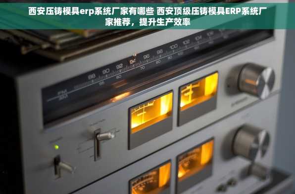 西安压铸模具erp系统厂家有哪些 西安顶级压铸模具ERP系统厂家推荐，提升生产效率