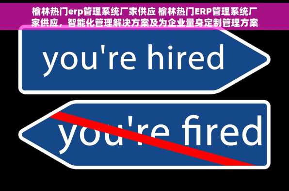 榆林热门erp管理系统厂家供应 榆林热门ERP管理系统厂家供应，智能化管理解决方案及为企业量身定制管理方案