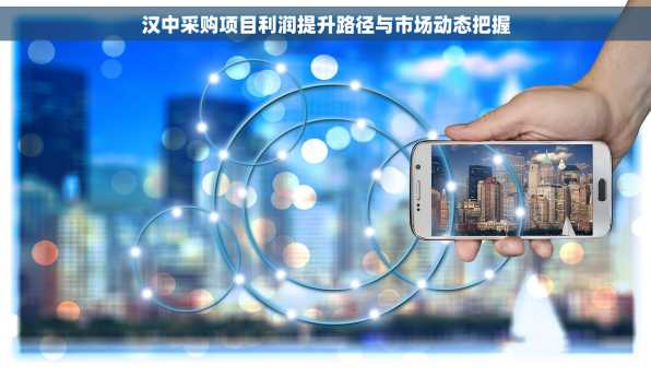 汉中采购项目利润提升路径与市场动态把握