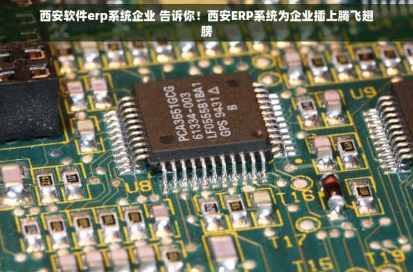 西安软件erp系统企业 告诉你！西安ERP系统为企业插上腾飞翅膀