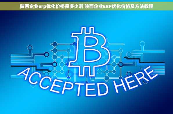 陕西企业erp优化价格是多少啊 陕西企业ERP优化价格及方法教程