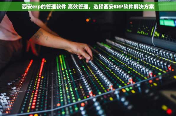 西安erp的管理软件 高效管理，选择西安ERP软件解决方案