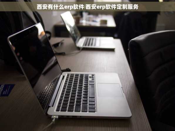 西安有什么erp软件 西安erp软件定制服务