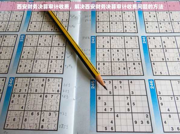西安财务决算审计收费，解决西安财务决算审计收费问题的方法