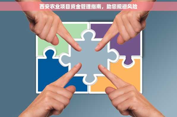 西安农业项目资金管理指南，助您规避风险
