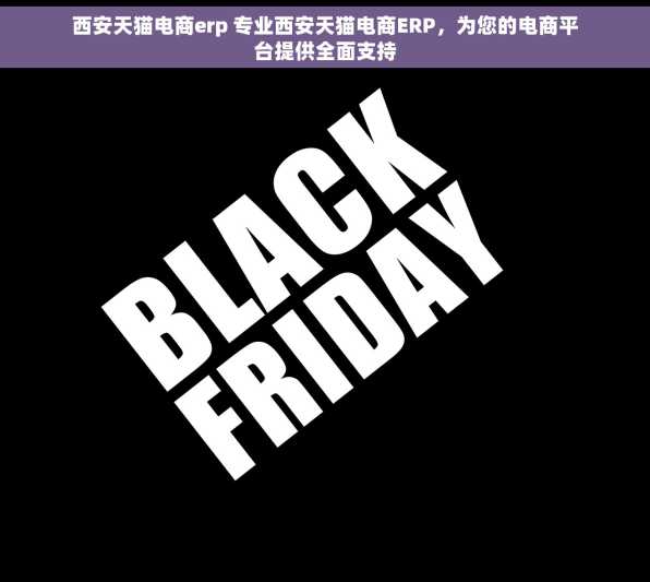 西安天猫电商erp 专业西安天猫电商ERP，为您的电商平台提供全面支持