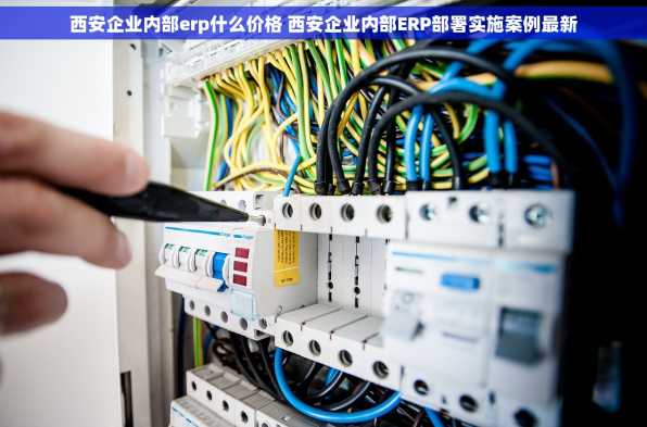 西安企业内部erp什么价格 西安企业内部ERP部署实施案例最新