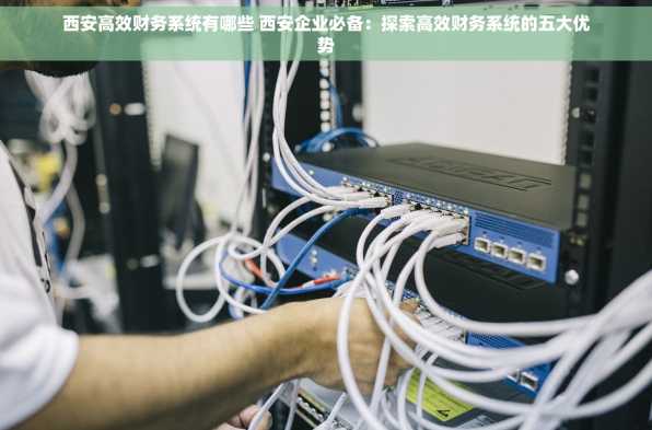 西安高效财务系统有哪些 西安企业必备：探索高效财务系统的五大优势