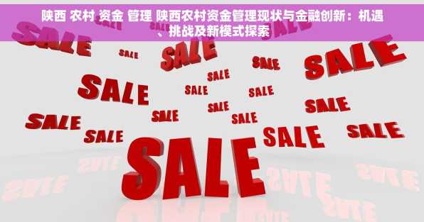 陕西 农村 资金 管理 陕西农村资金管理现状与金融创新：机遇、挑战及新模式探索