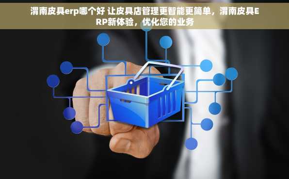 渭南皮具erp哪个好 让皮具店管理更智能更简单，渭南皮具ERP新体验，优化您的业务