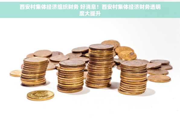 西安村集体经济组织财务 好消息！西安村集体经济财务透明度大提升