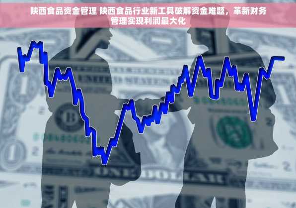 陕西食品资金管理 陕西食品行业新工具破解资金难题，革新财务管理实现利润最大化
