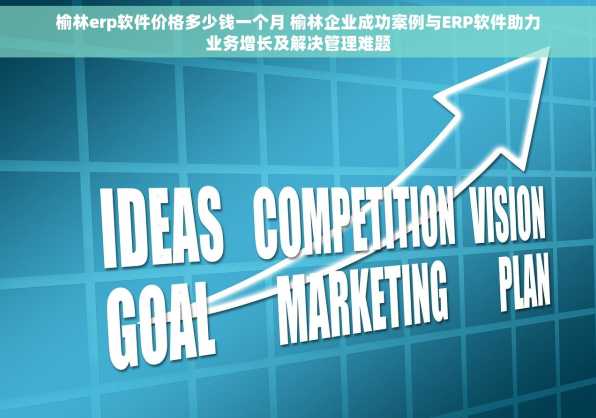 榆林erp软件价格多少钱一个月 榆林企业成功案例与ERP软件助力业务增长及解决管理难题