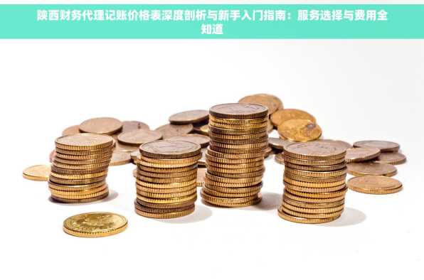 陕西财务代理记账价格表深度剖析与新手入门指南：服务选择与费用全知道