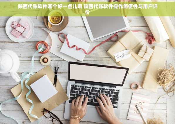 陕西代账软件哪个好一点儿啊 陕西代账软件操作简便性与用户评价