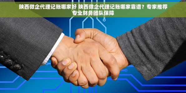 陕西微企代理记账哪家好 陕西微企代理记账哪家靠谱？专家推荐专业财务团队保障