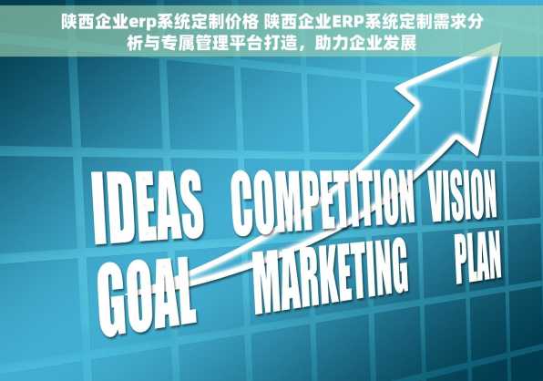 陕西企业erp系统定制价格 陕西企业ERP系统定制需求分析与专属管理平台打造，助力企业发展