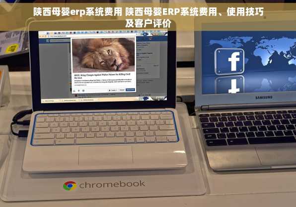 陕西母婴erp系统费用 陕西母婴ERP系统费用、使用技巧及客户评价