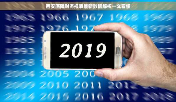 西安医院财务报表最新数据解析一文看懂