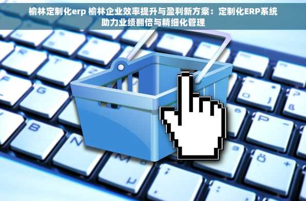 榆林定制化erp 榆林企业效率提升与盈利新方案：定制化ERP系统助力业绩翻倍与精细化管理