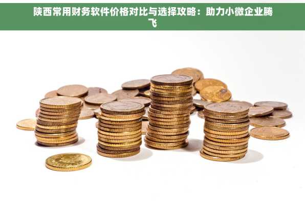 陕西常用财务软件价格对比与选择攻略：助力小微企业腾飞