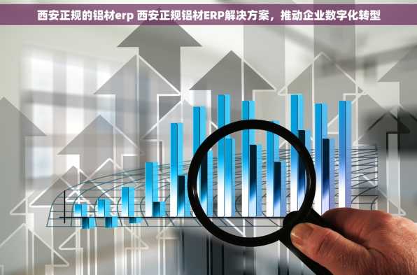 西安正规的铝材erp 西安正规铝材ERP解决方案，推动企业数字化转型