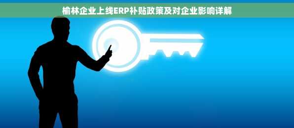 榆林企业上线ERP补贴政策及对企业影响详解