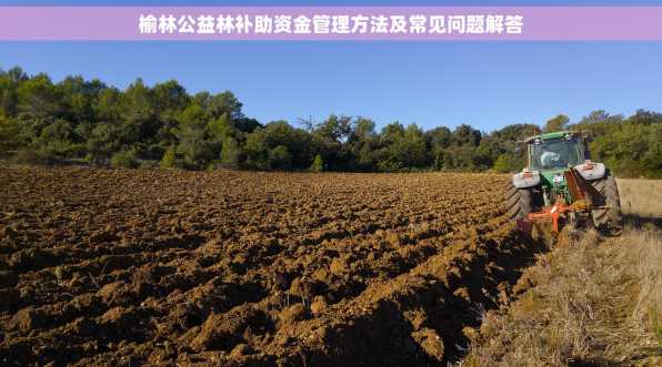 榆林公益林补助资金管理方法及常见问题解答