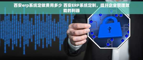 西安erp系统定做费用多少 西安ERP系统定制，提升企业管理效能的利器