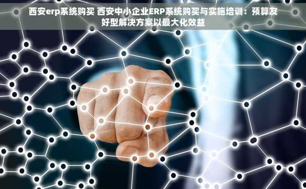 西安erp系统购买 西安中小企业ERP系统购买与实施培训：预算友好型解决方案以最大化效益