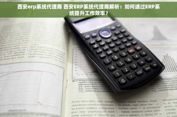 西安erp系统代理商 西安ERP系统代理商解析：如何通过ERP系统提升工作效率？